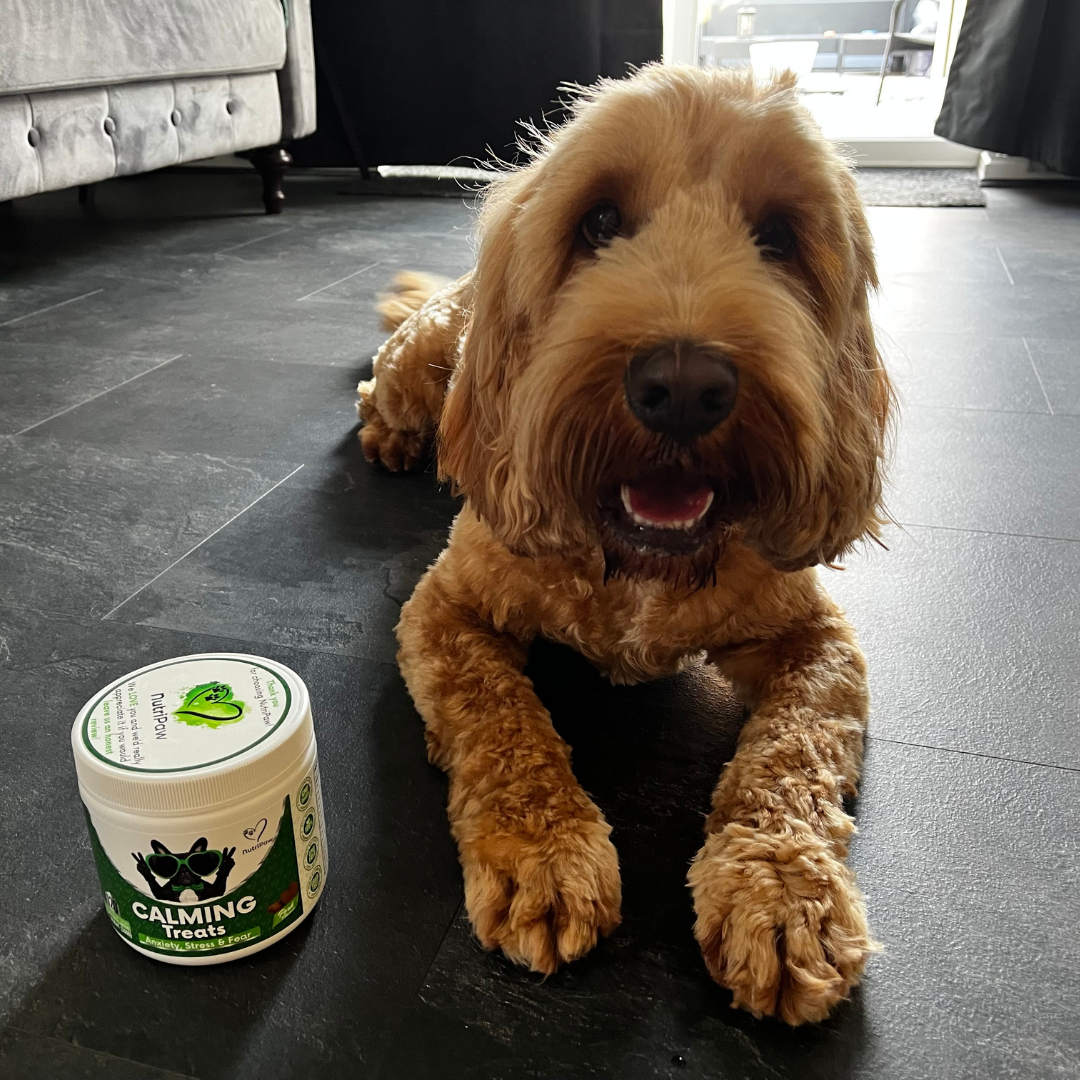 Nutri Paw Facebook ad