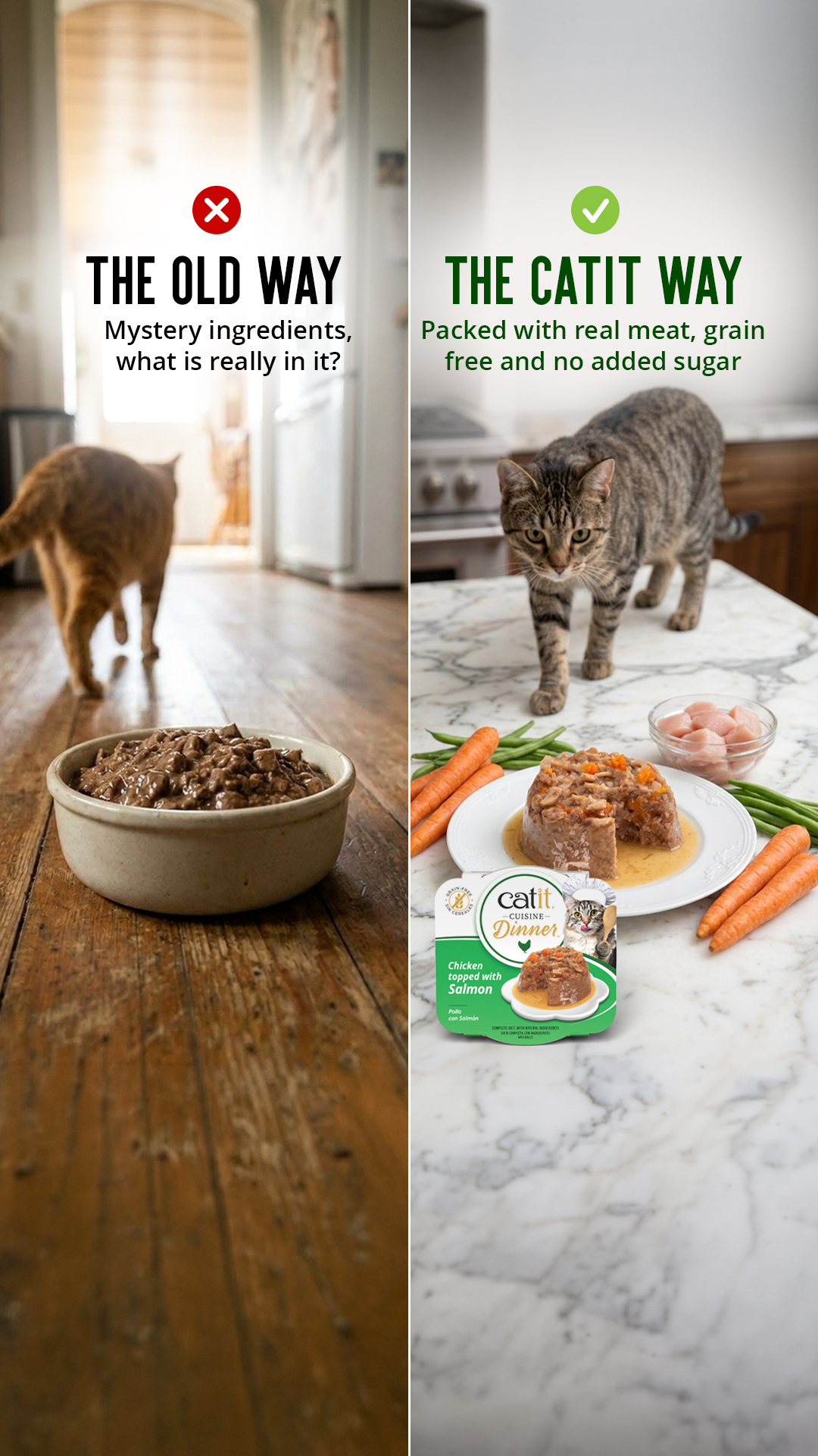 Catit UK Facebook ad