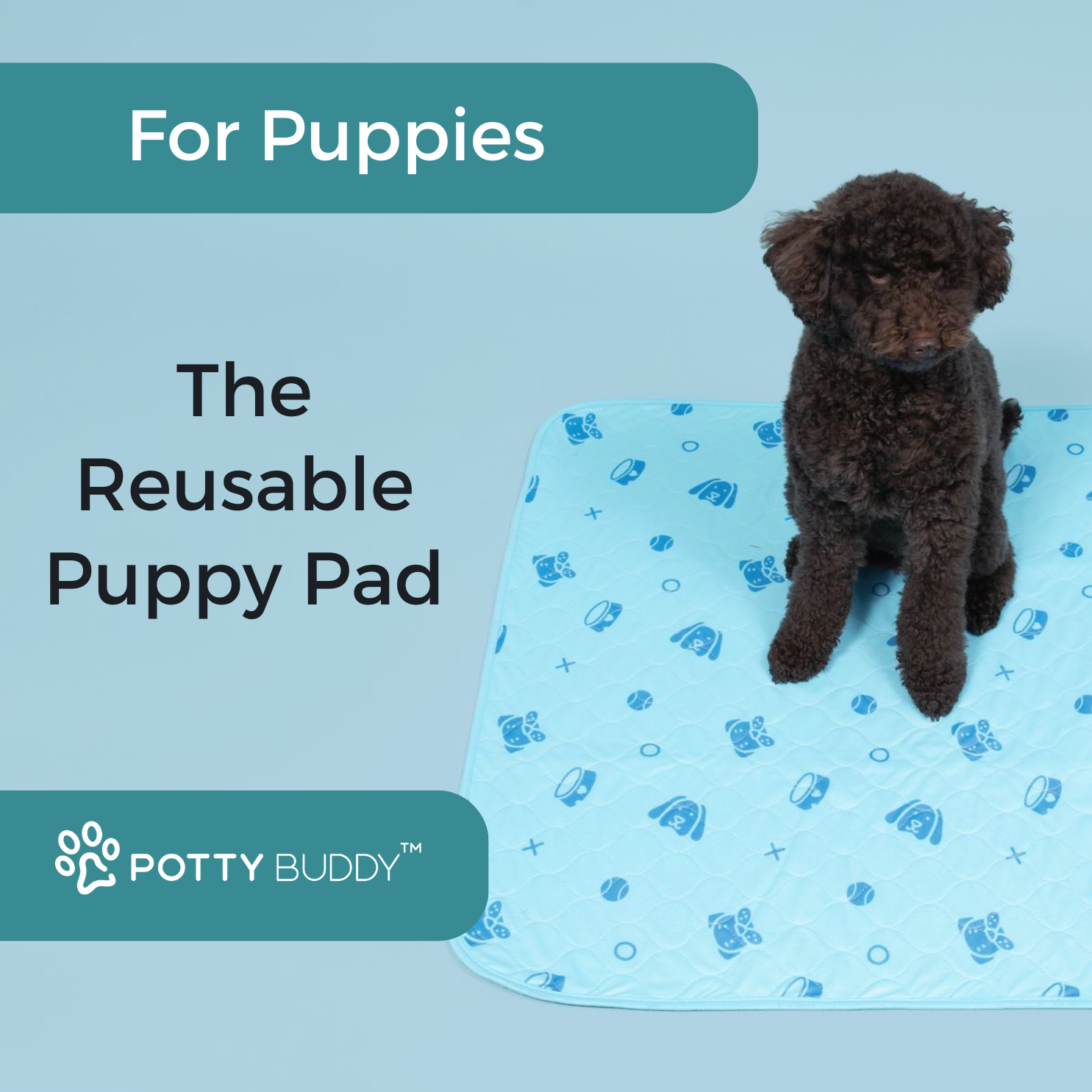 Potty Buddy Facebook ad