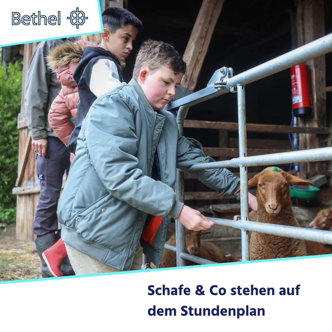 Bethel - Für Menschen da sein Facebook ad: Lernen im Grünen