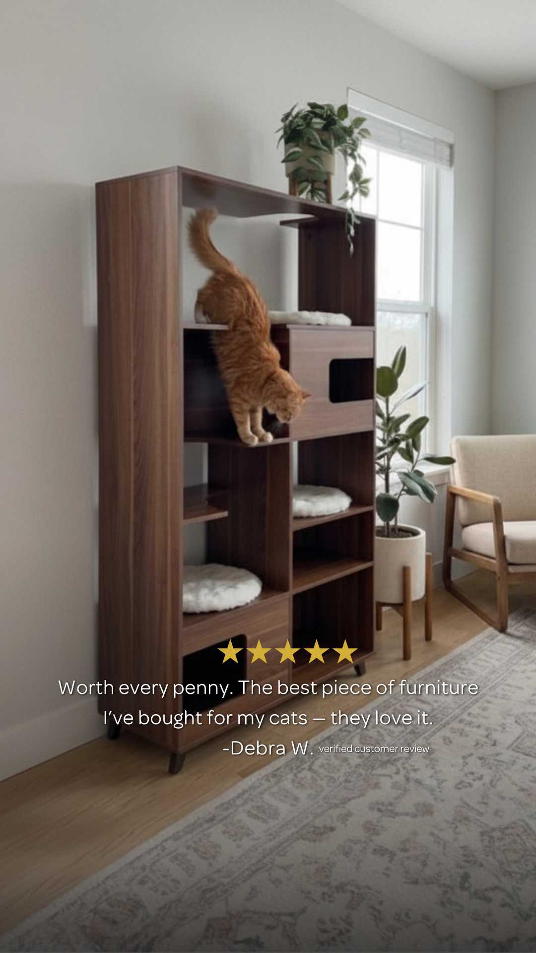 4 Cats & Dogs Home Furnishings Facebook ad