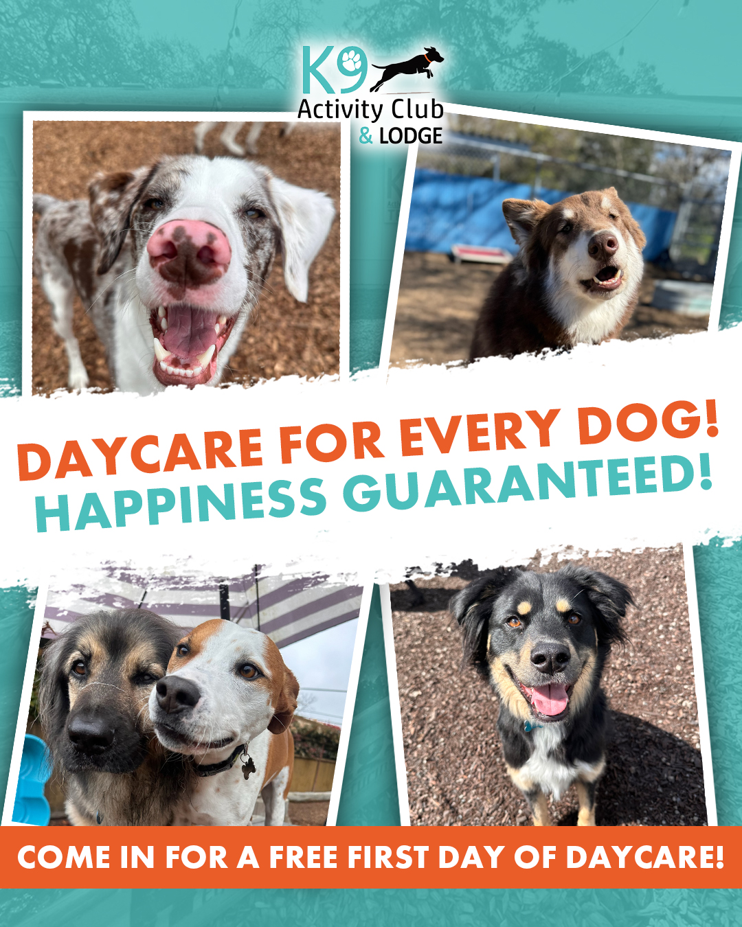 K9 Activity Club Training Facebook ad: Free Daycare Pass When You Tour Our 1.5-Acre Dog Resort!