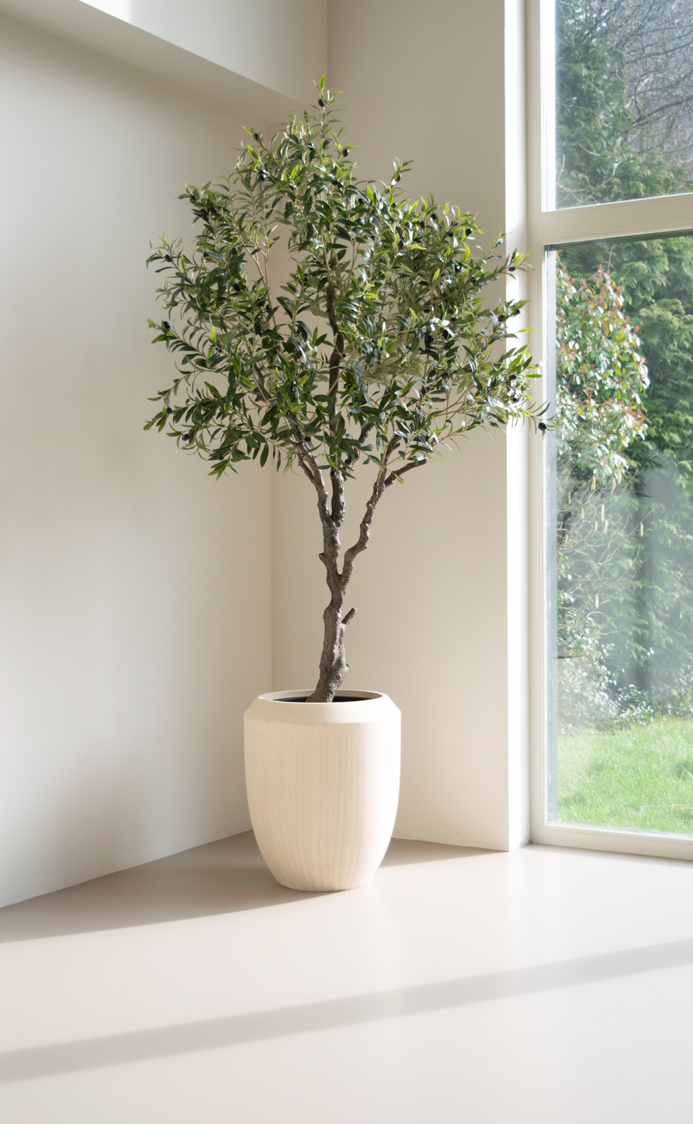 Easyplants Facebook ad