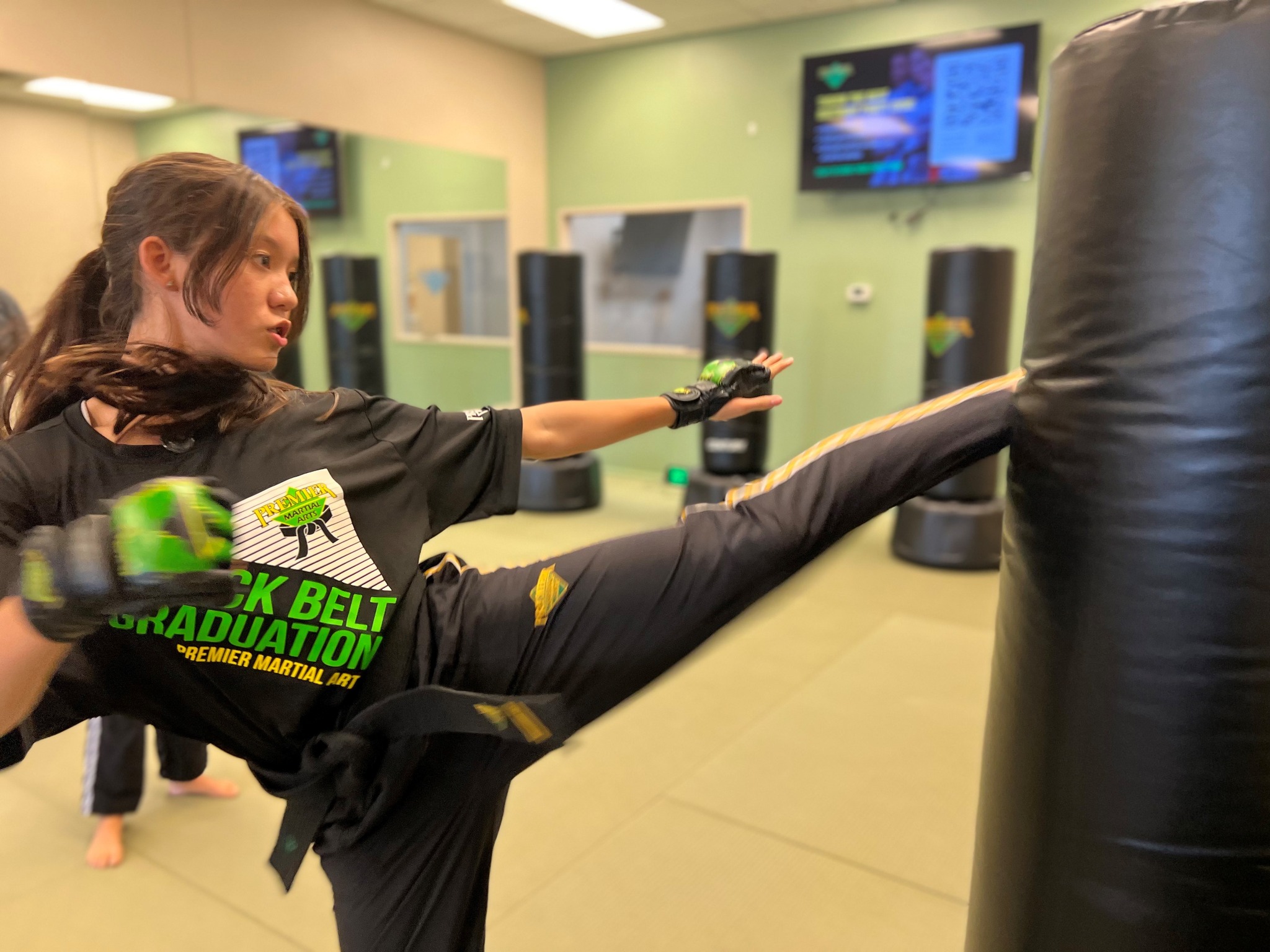 Premier Martial Arts Facebook ad: FREE KARATE LESSON!