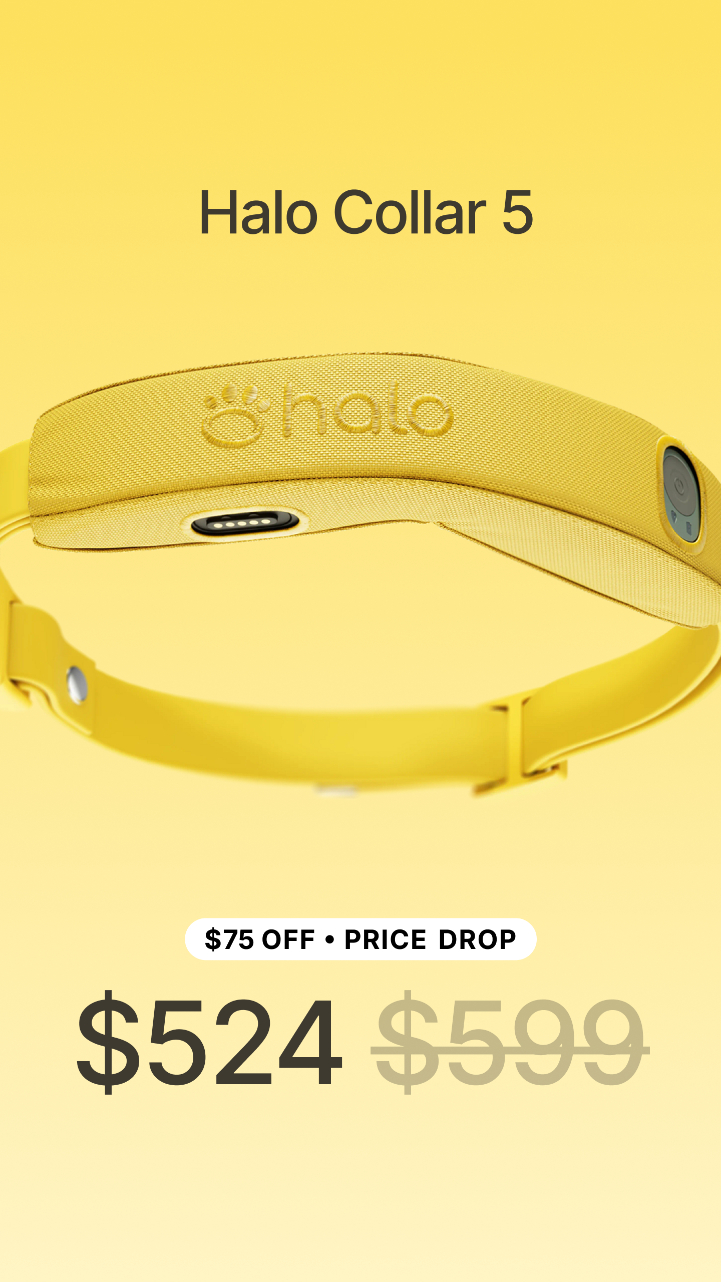 Halo Collar Facebook ad