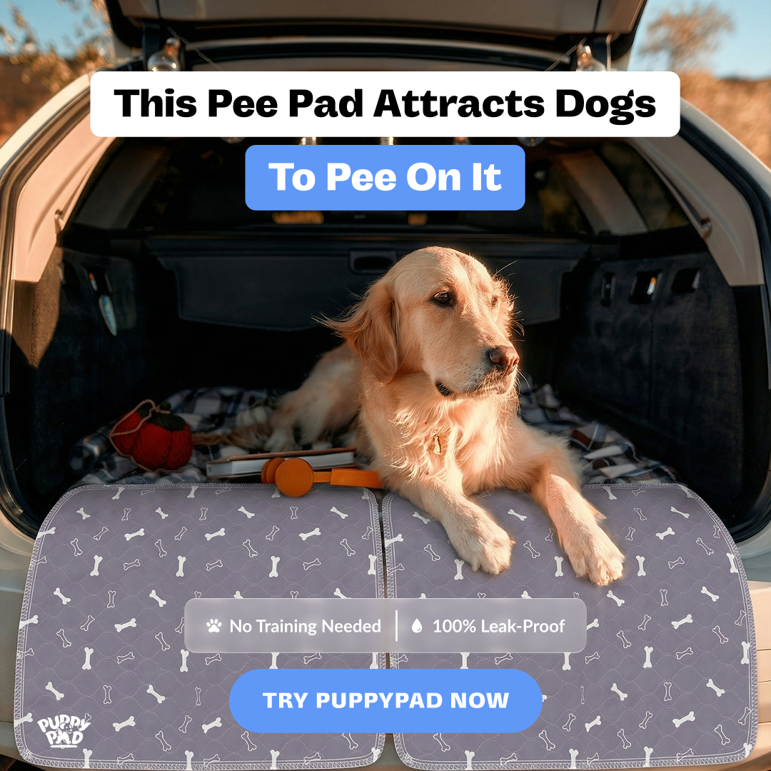 PuppyPad Facebook ad
