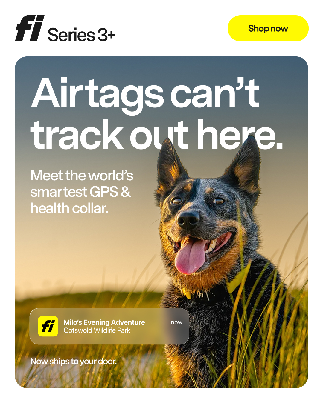 Fi Facebook ad