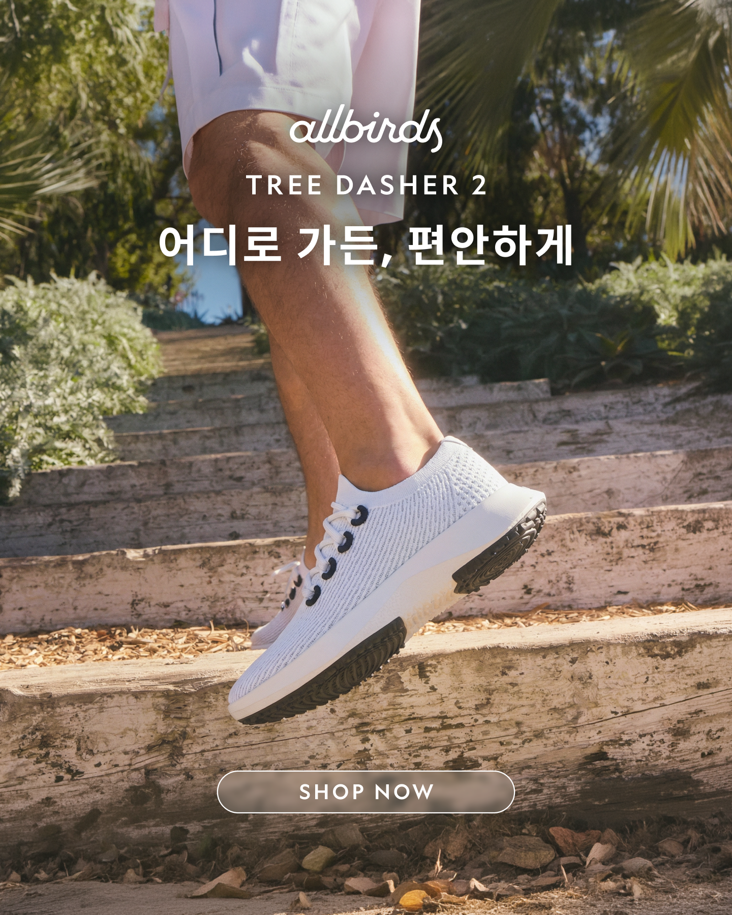 올버즈 Allbirds KR Facebook ad