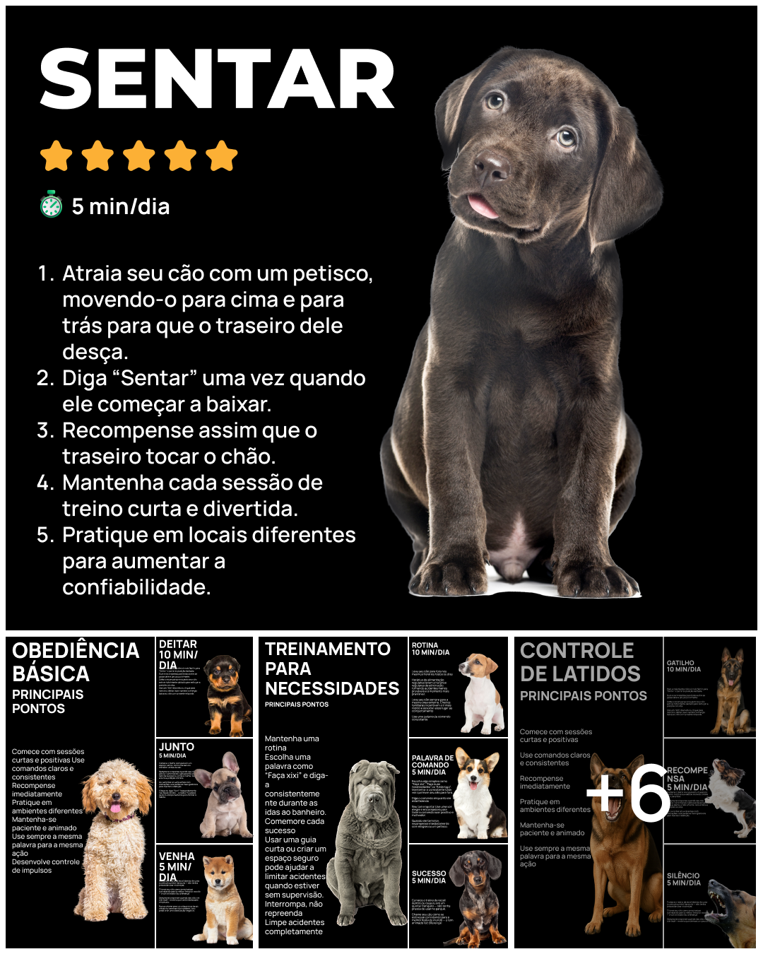 Dogo Facebook ad