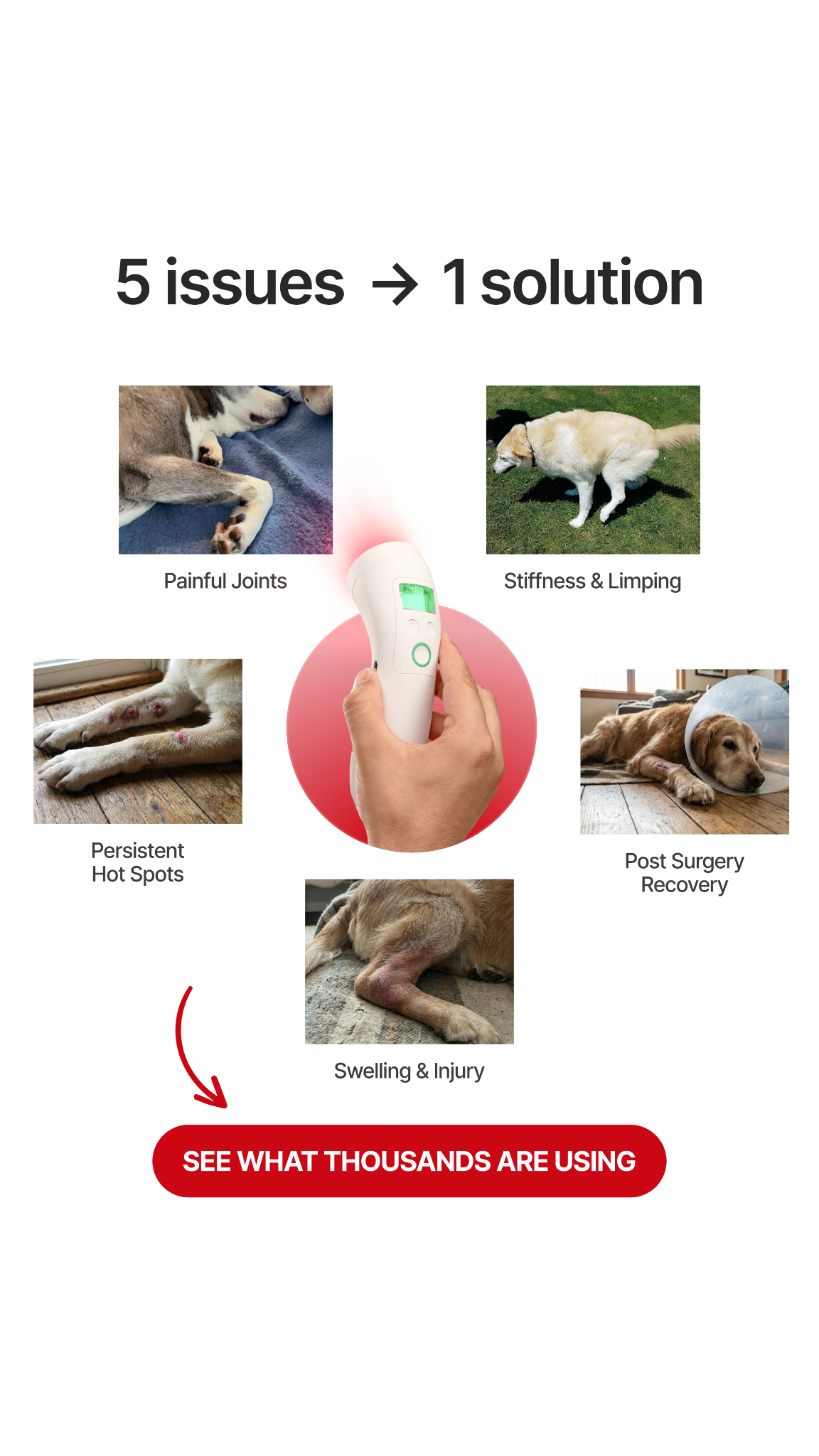Helio Pet Facebook ad