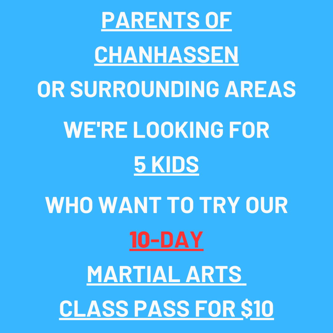 Metro Karate & Jiu Jitsu Academy Facebook ad: Want a 10-Day, Kids Martial Arts Class Pass For $10?