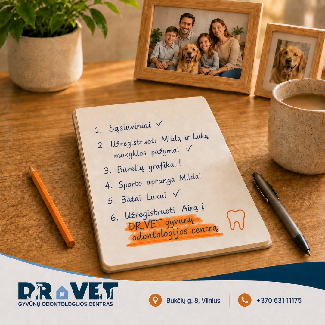 DR.VET Odontologija Facebook ad: Profilaktinė augintinio dantų apžiūra