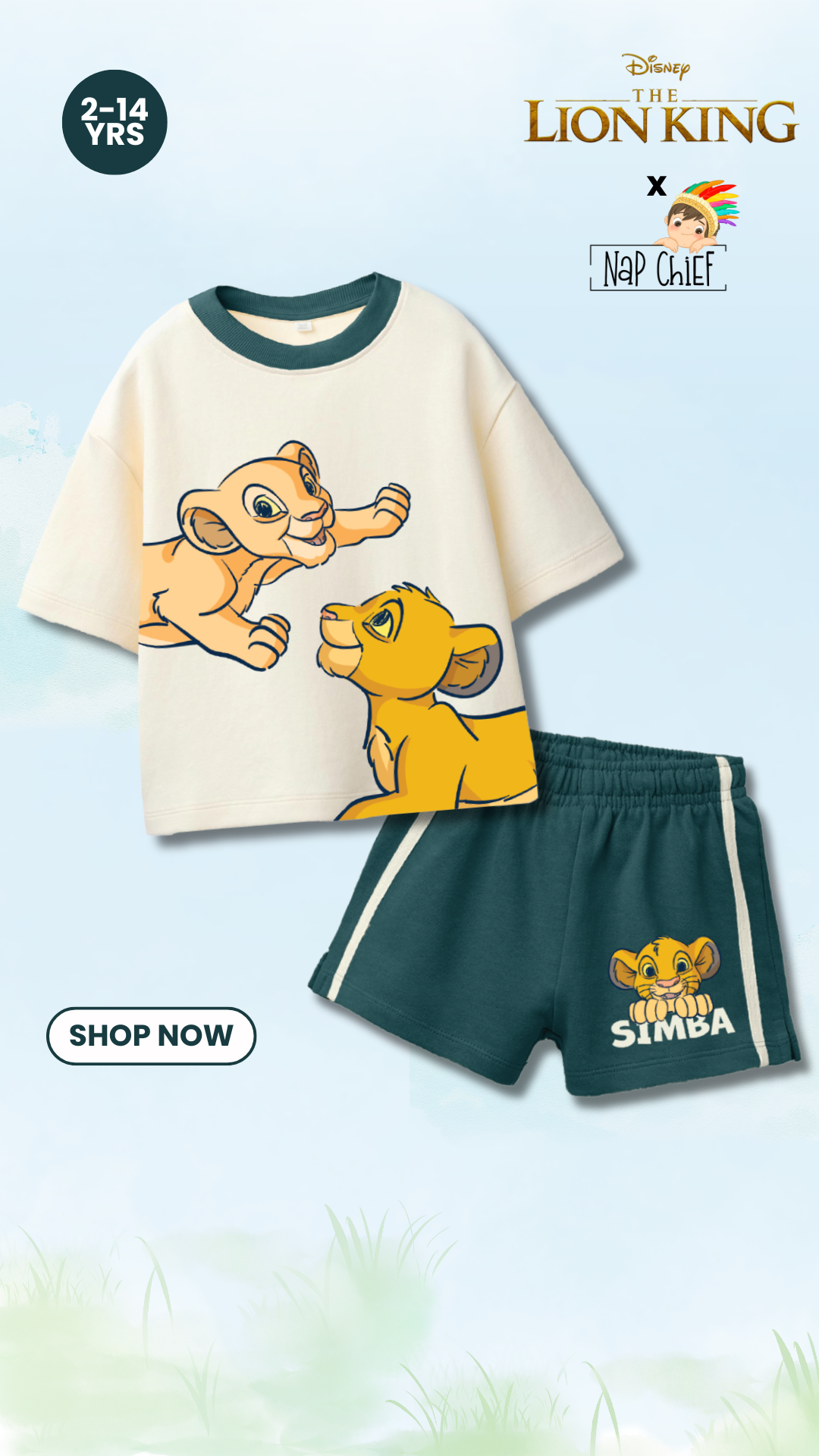 Nap Chief Facebook ad