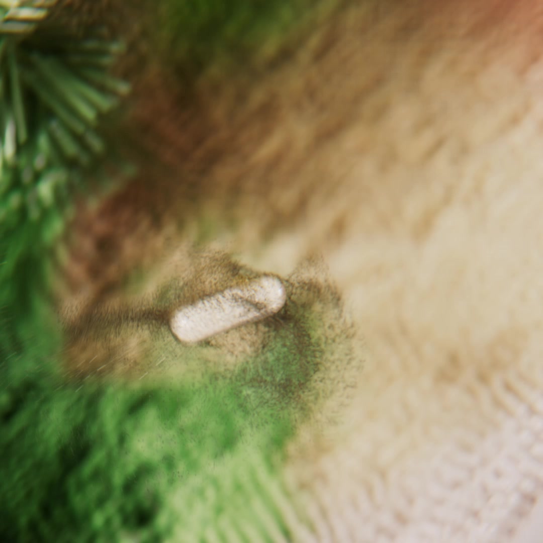 Seed Facebook ad: DS-01: A Probiotic That Survives