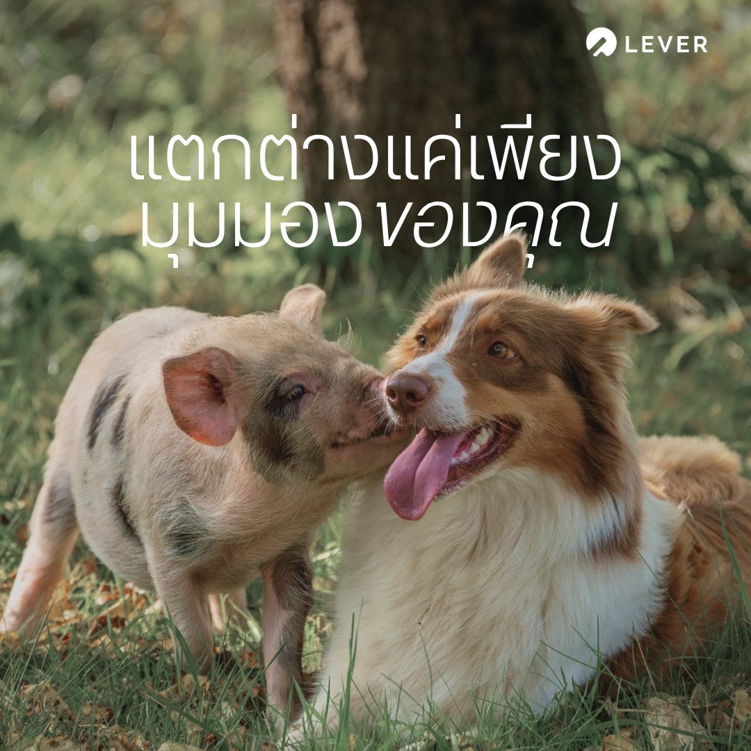 Lever Foundation Thailand Facebook ad