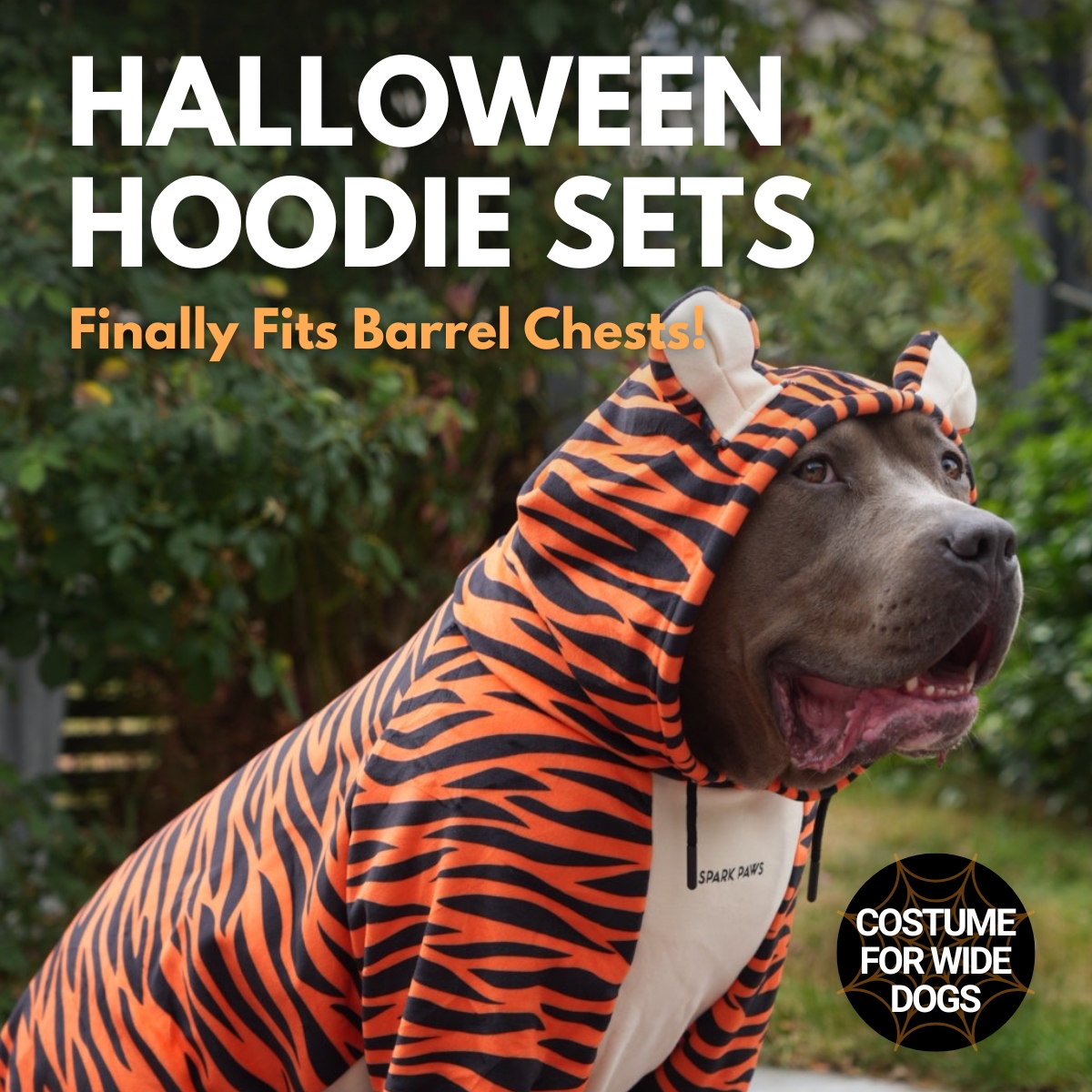 Spark Paws Facebook ad