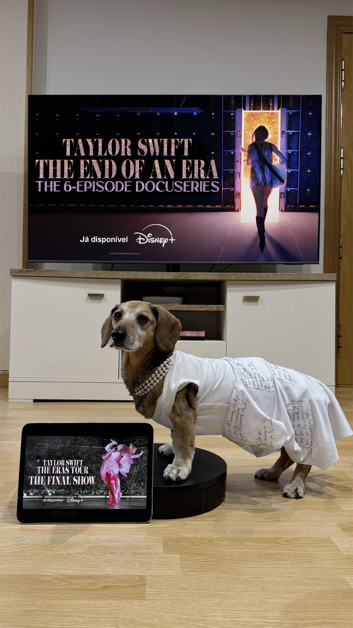 Lucas The Dog Facebook ad from Feb 13, 2026