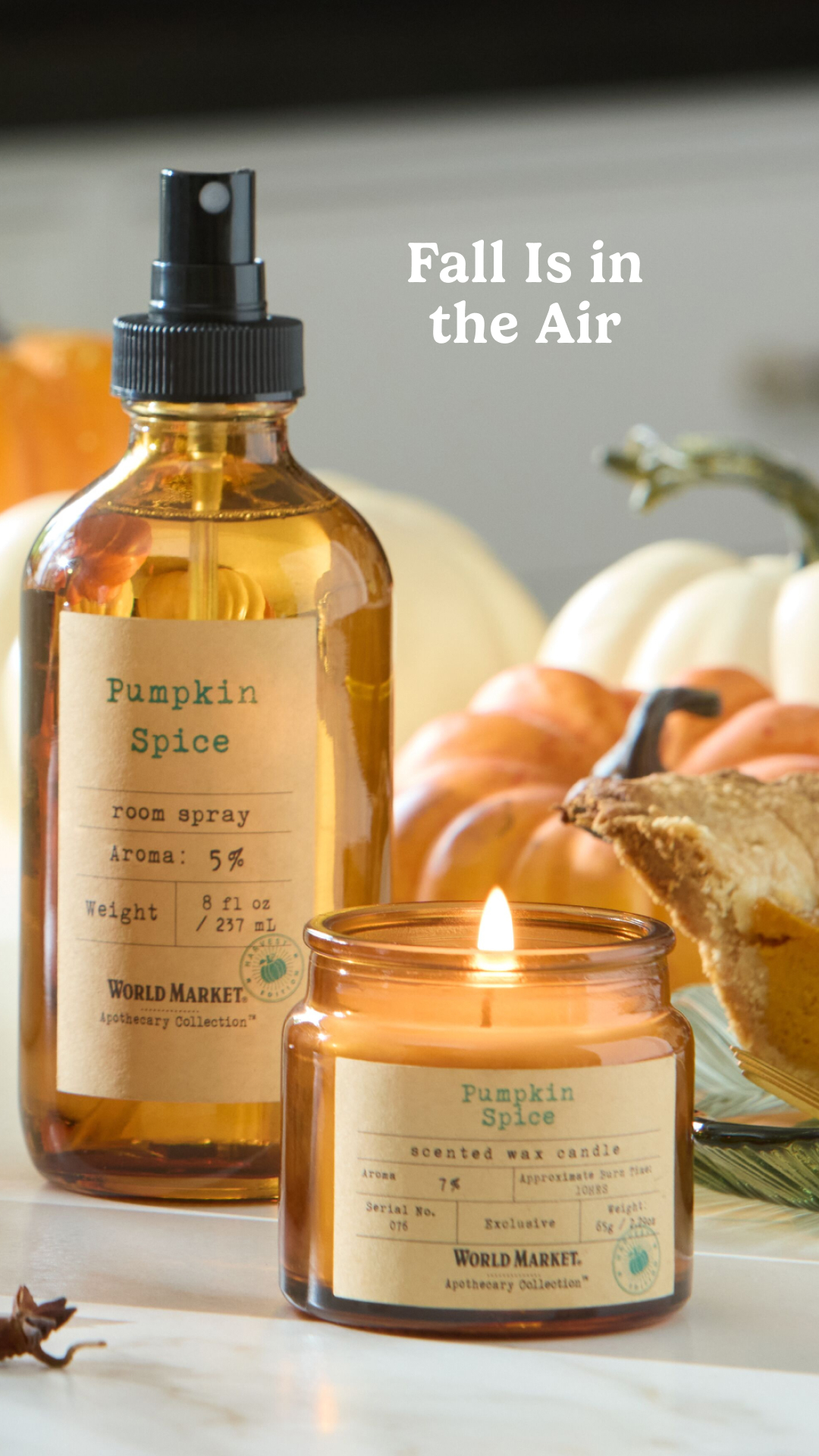 World Market Facebook ad