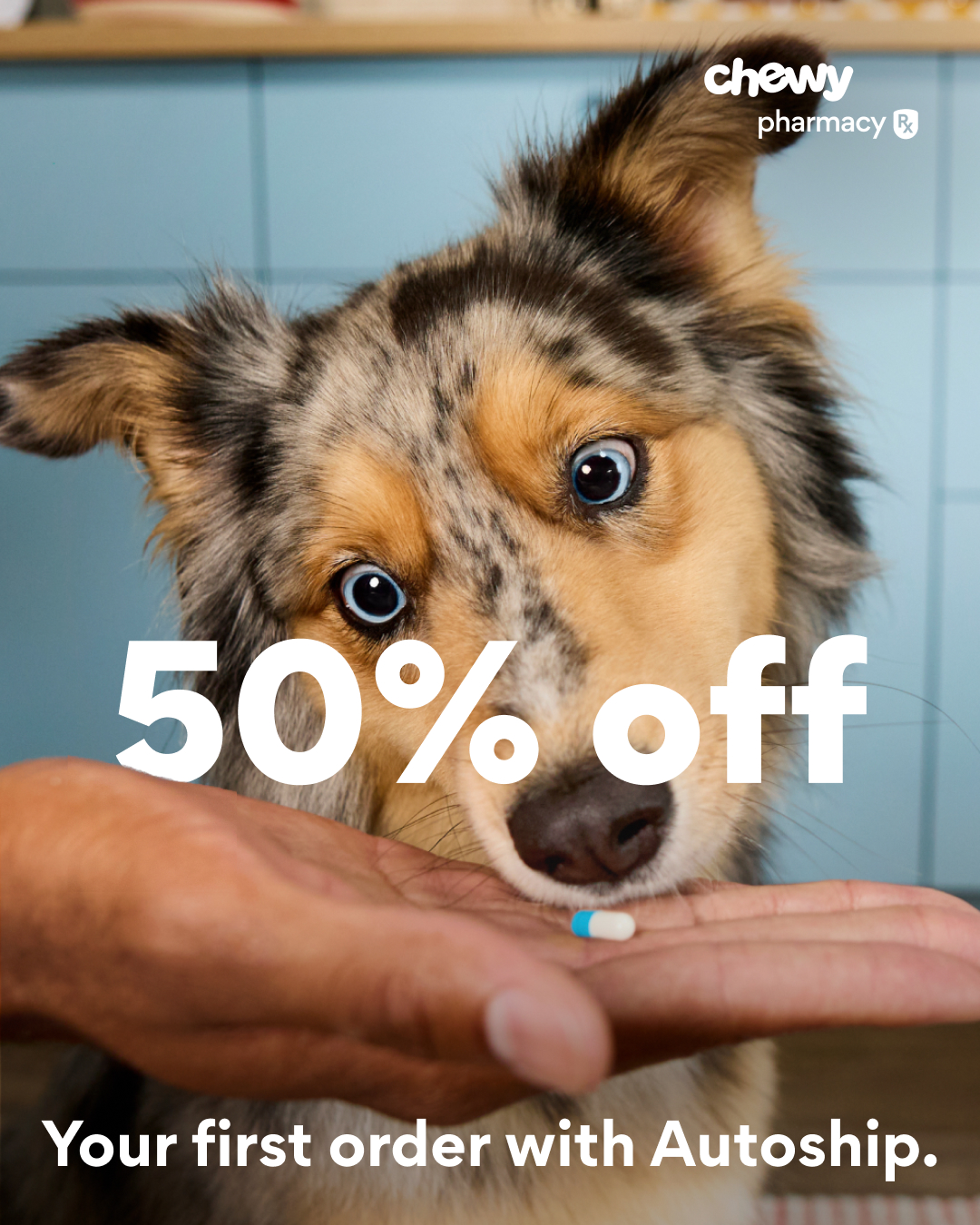 Chewy Facebook ad: Pet meds for less