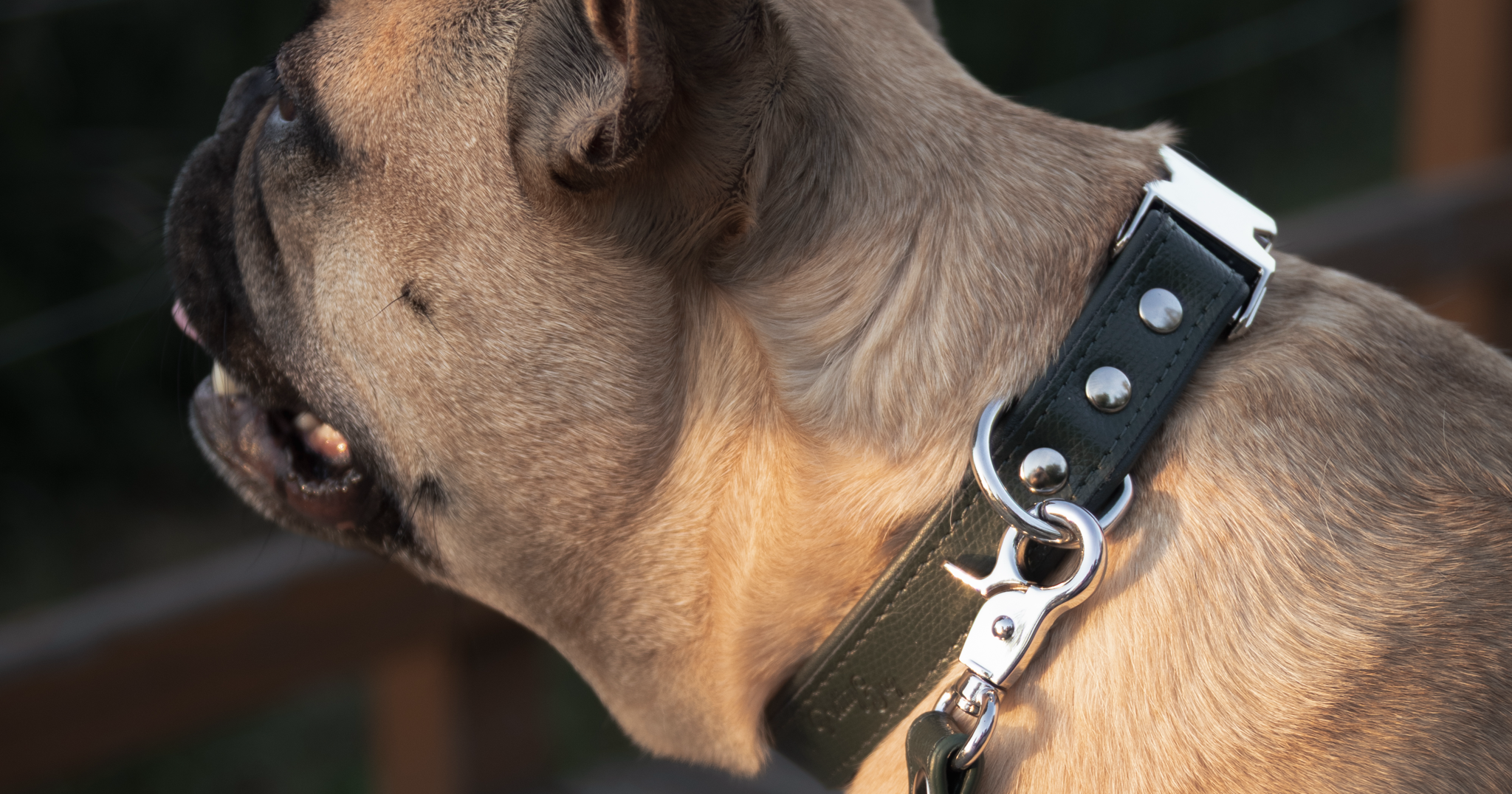 PrettyDog Luxury Pet Accessories Facebook ad: Elegancia minden sétában - PrettyDog exkluzív nyakörv és…