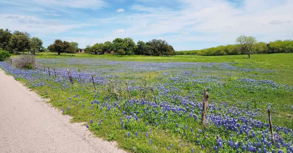 Ez budget Facebook ad: Texas tours an event Transportation located in the…