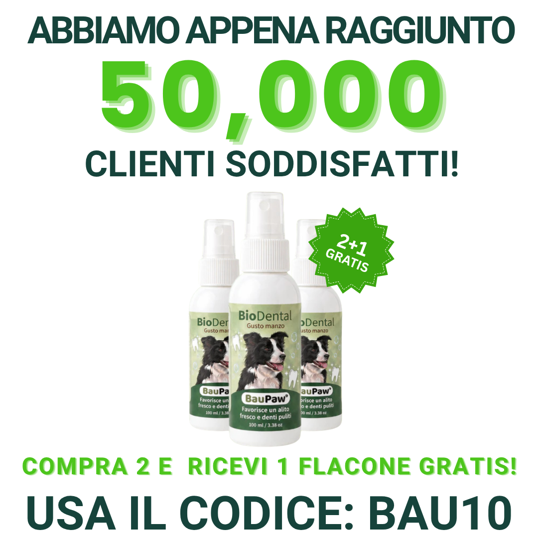 Baupaw Facebook ad