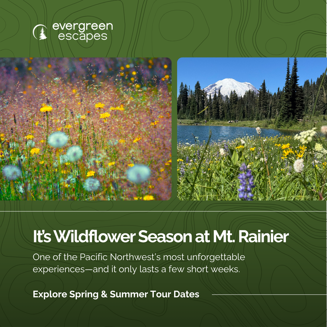 Evergreen Escapes Facebook ad: Your Next PNW Adventure Starts Here.