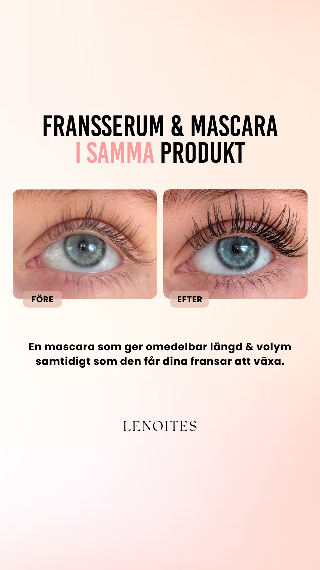 Lenoites Facebook ad