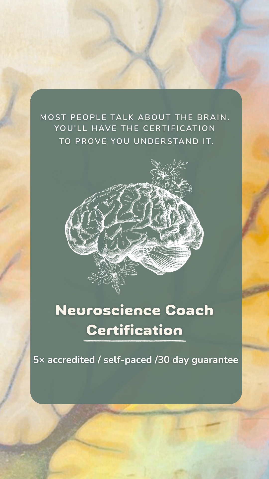 Efficient Coach Facebook ad
