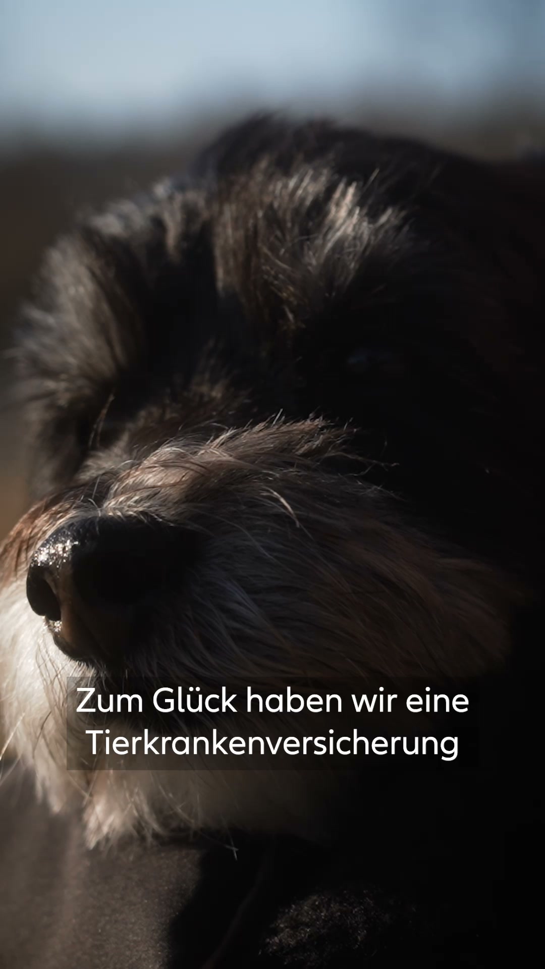 Allianz Deutschland Facebook ad: Allianz. Da für dein Leben.
