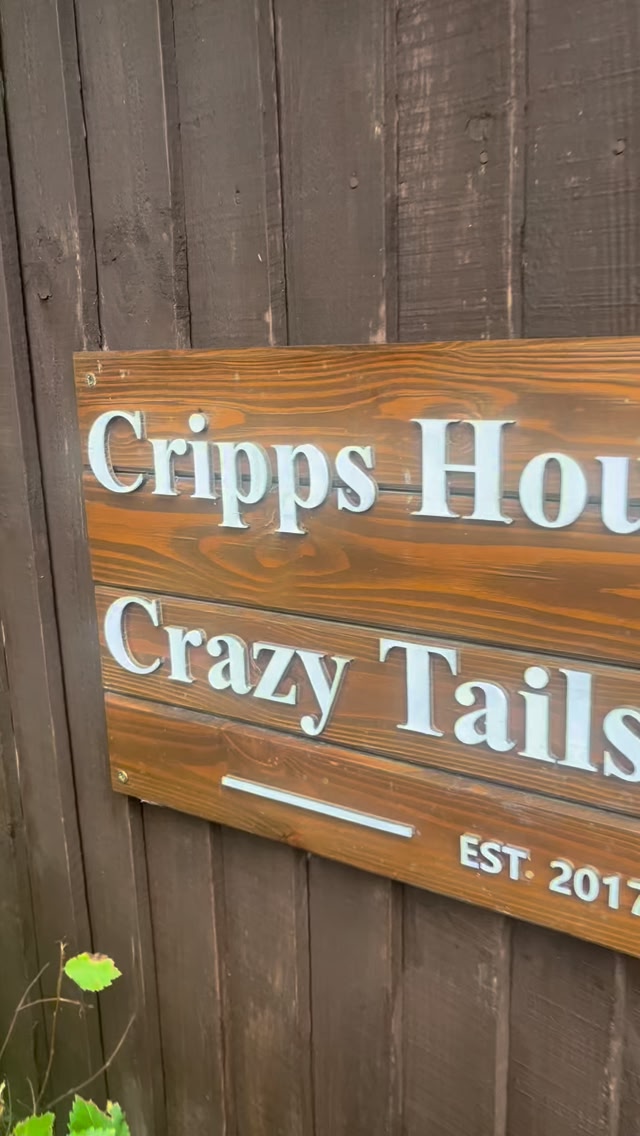 Crazy Tails The Retreat Facebook ad: We’re now taking on new clients for dog…