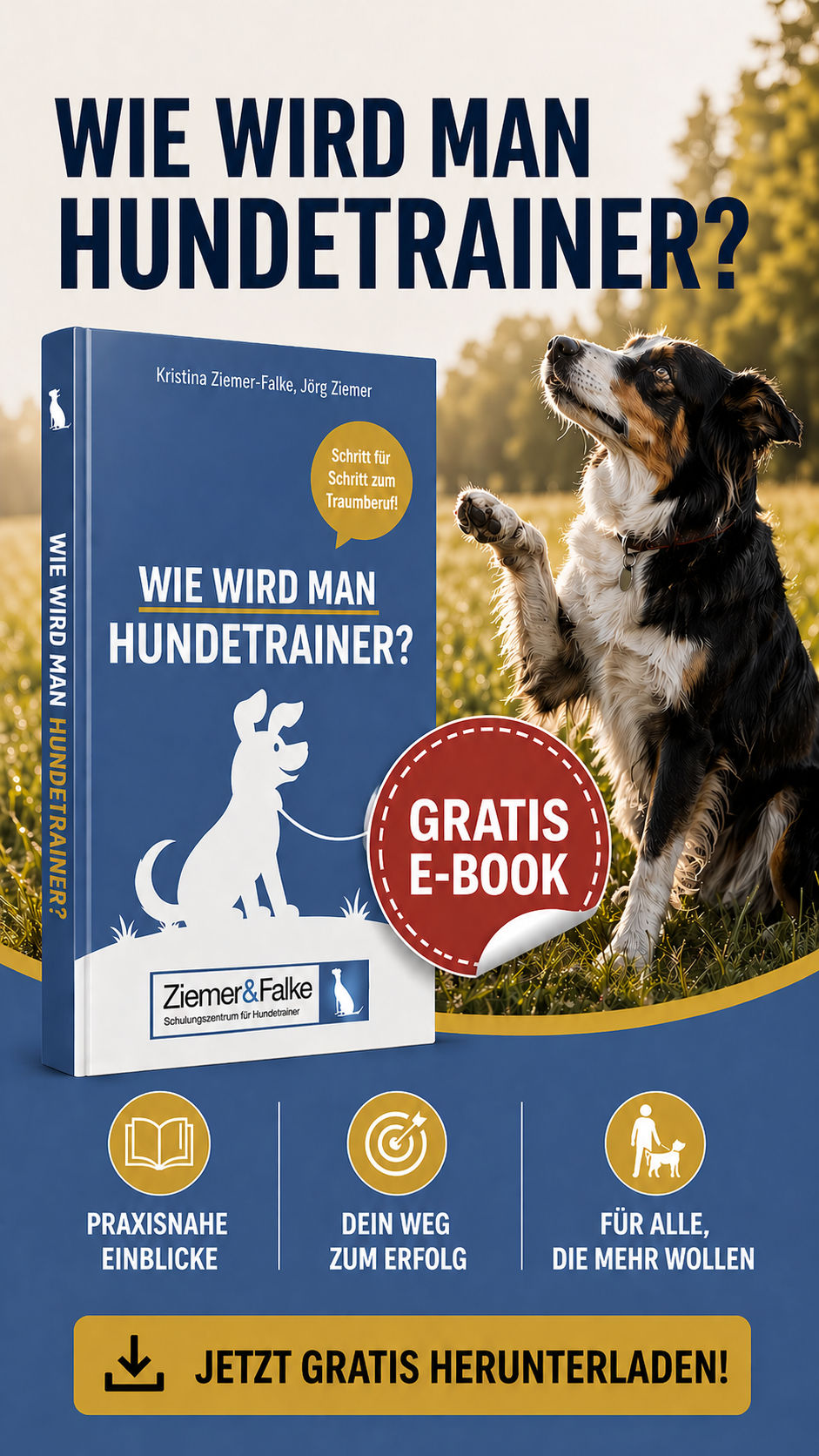 Ziemer & Falke - Schulungszentrum für Hundetrainer Facebook ad