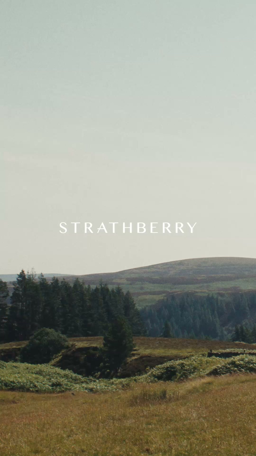 Strathberry Facebook ad: Tartan by Strathberry.