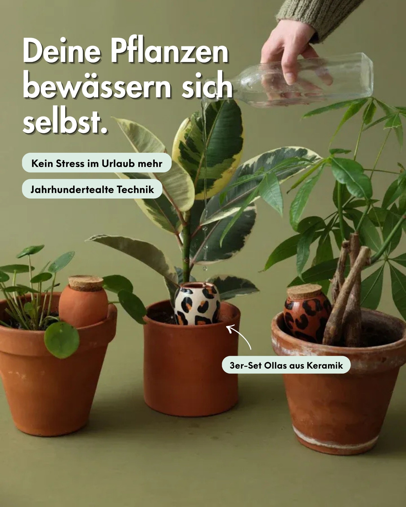 Finestgreen Facebook ad