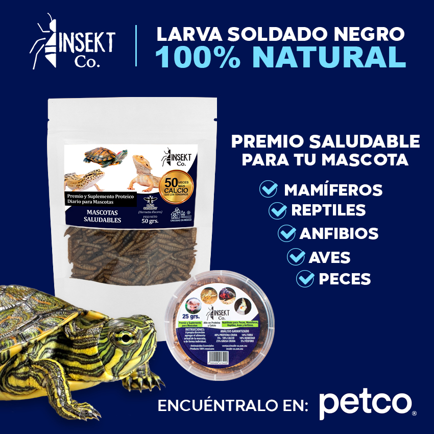 Insekt Co. Mascotas Facebook ad: ¡Más que un snack, es nutrición real!