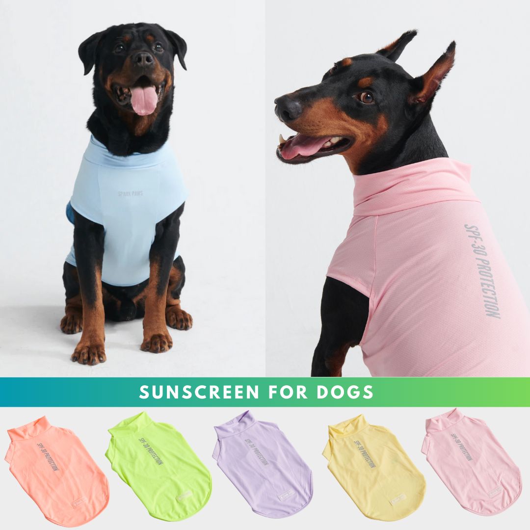Spark Paws Facebook ad
