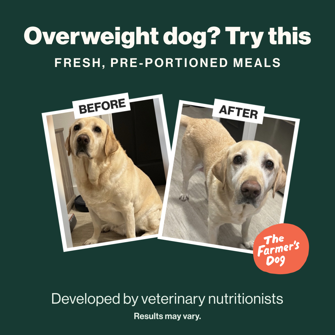 The Farmer's Dog Facebook ad