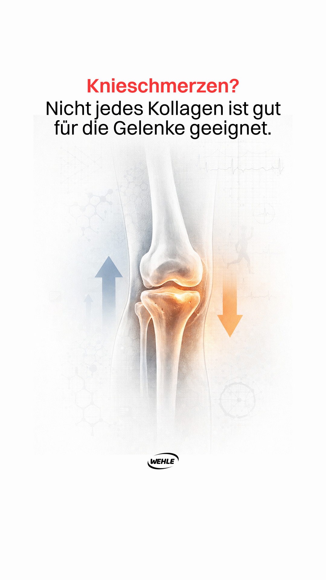 Sportnahrung Wehle Facebook ad