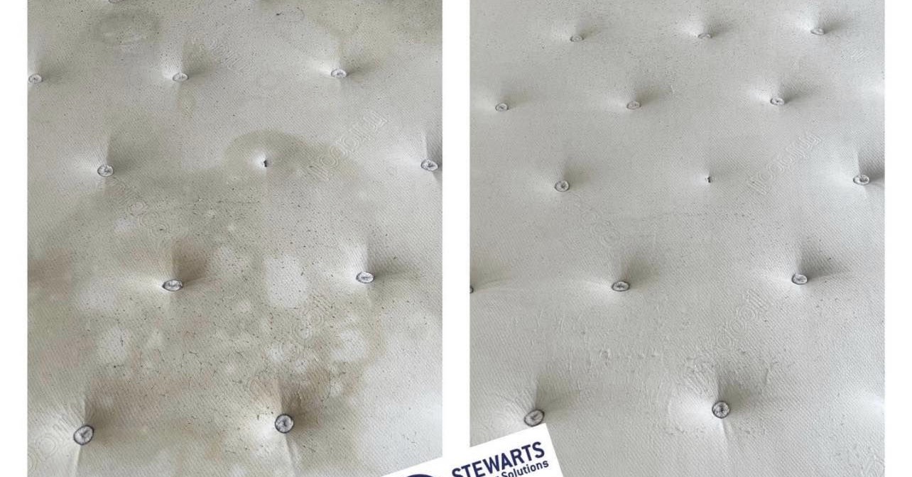 Stewart’s SOFA cleaning solutions Facebook ad