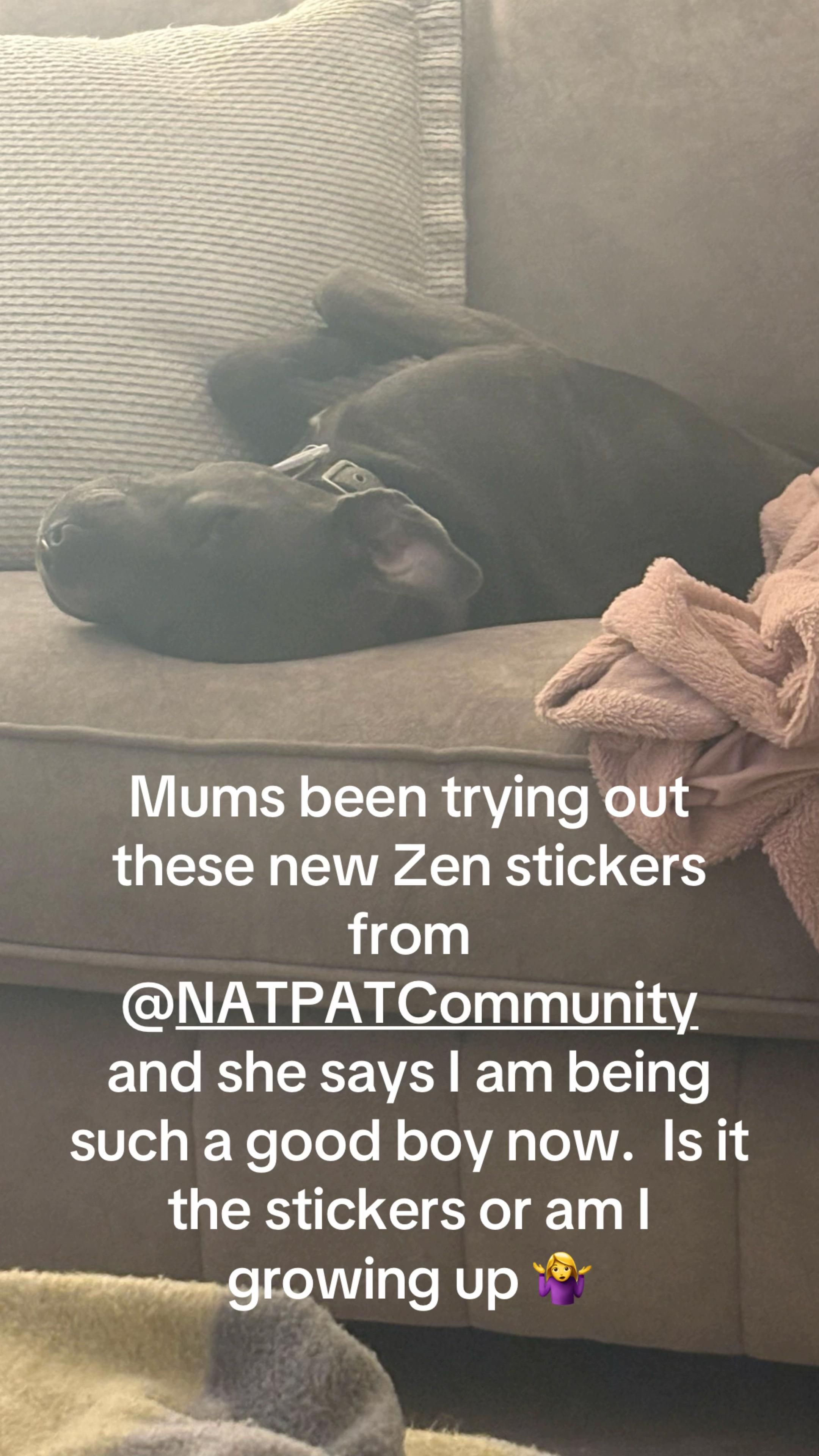 NATPAT - Natural Patch Co. Facebook ad