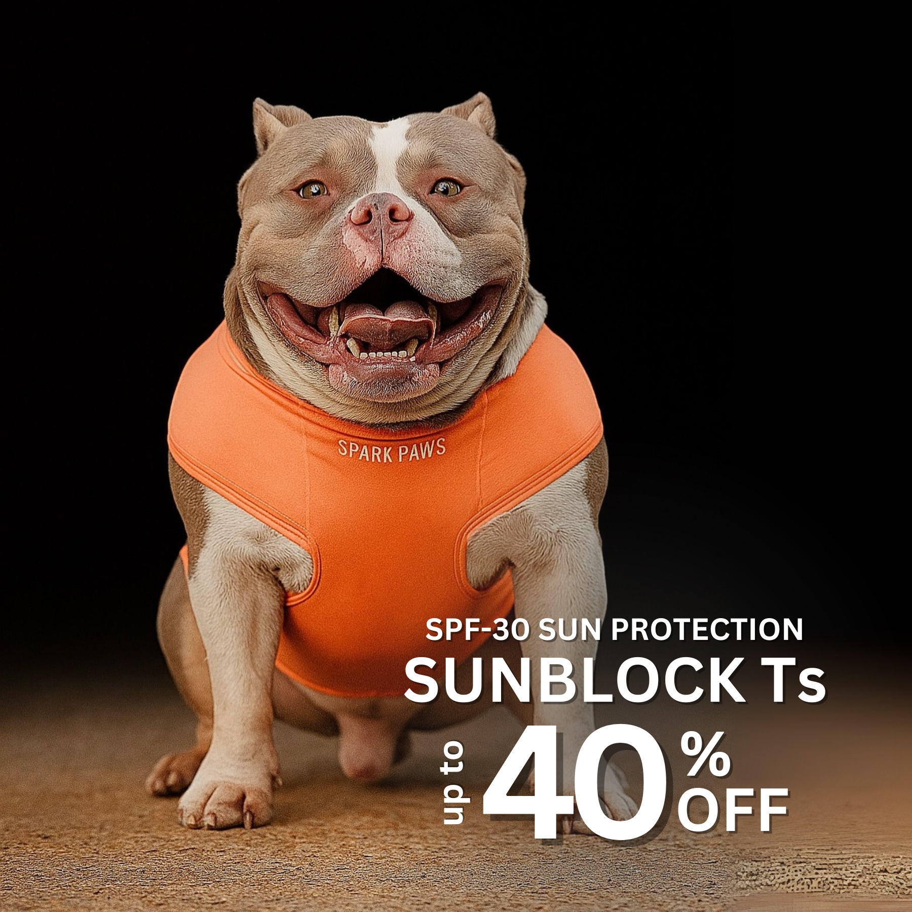 Spark Paws Facebook ad