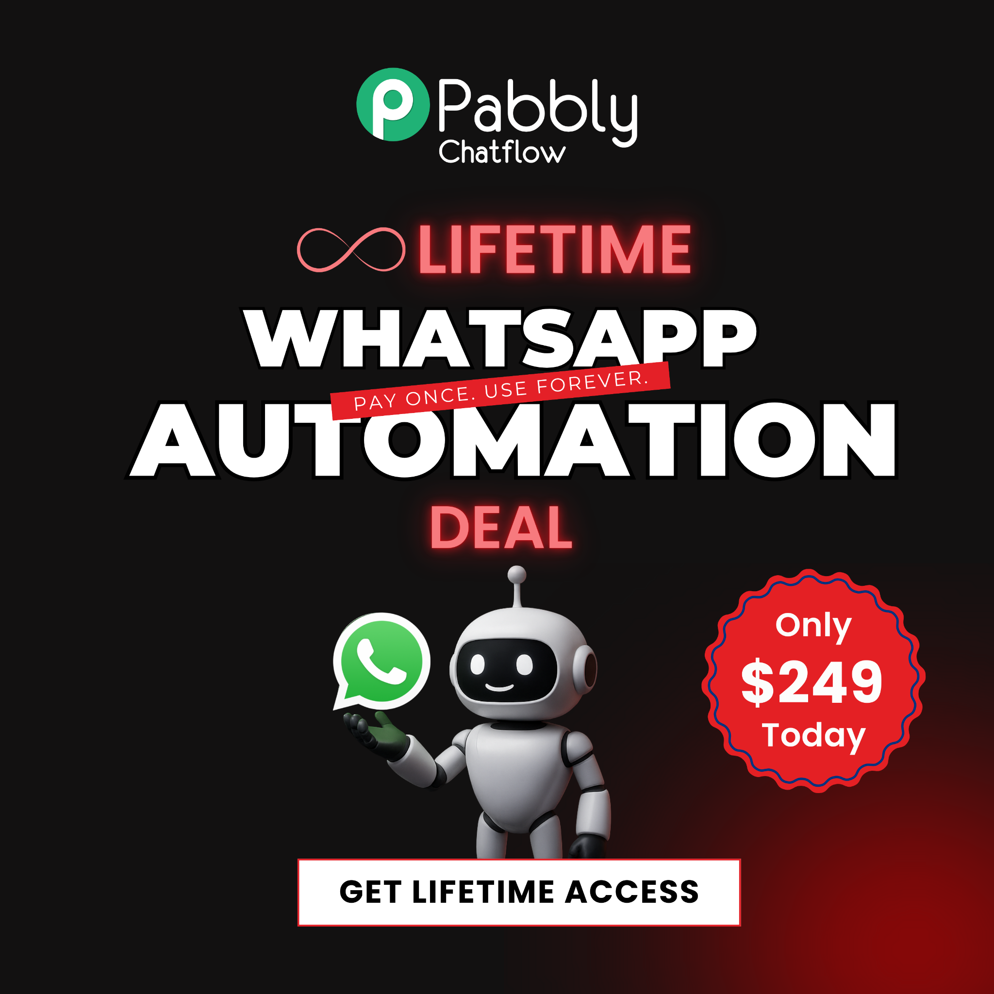 Pabbly Chatflow Facebook ad