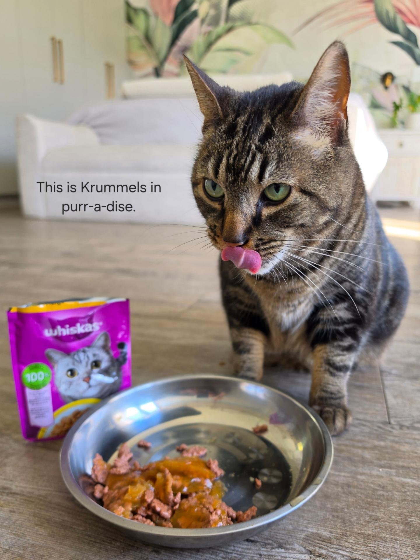 Make Me Up By Ailén Facebook ad: A carousel of Krummels in all his many…