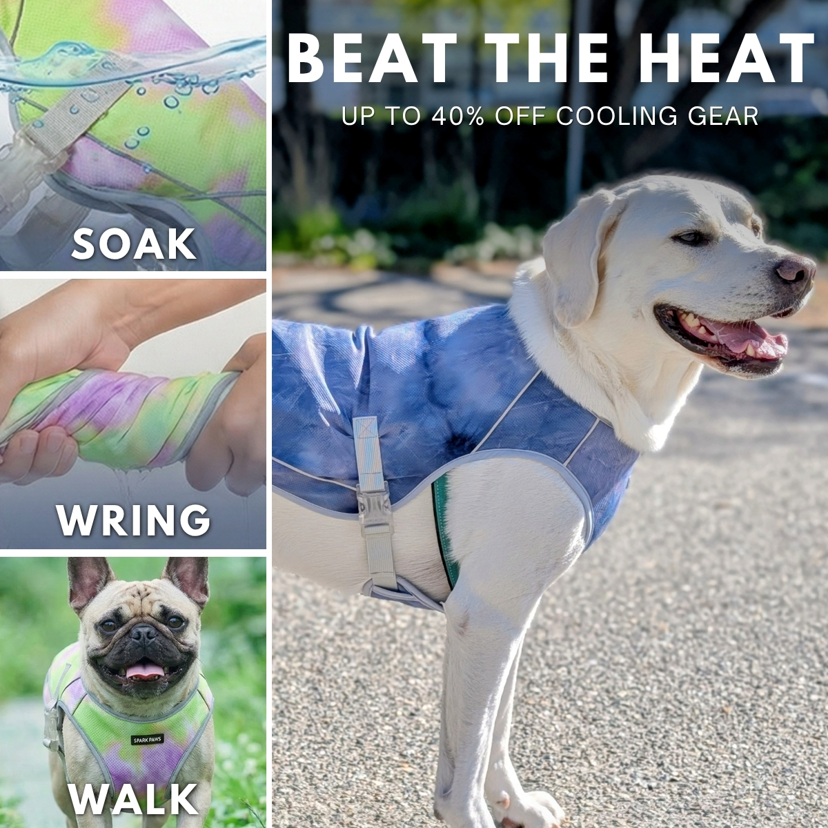 Spark Paws Facebook ad