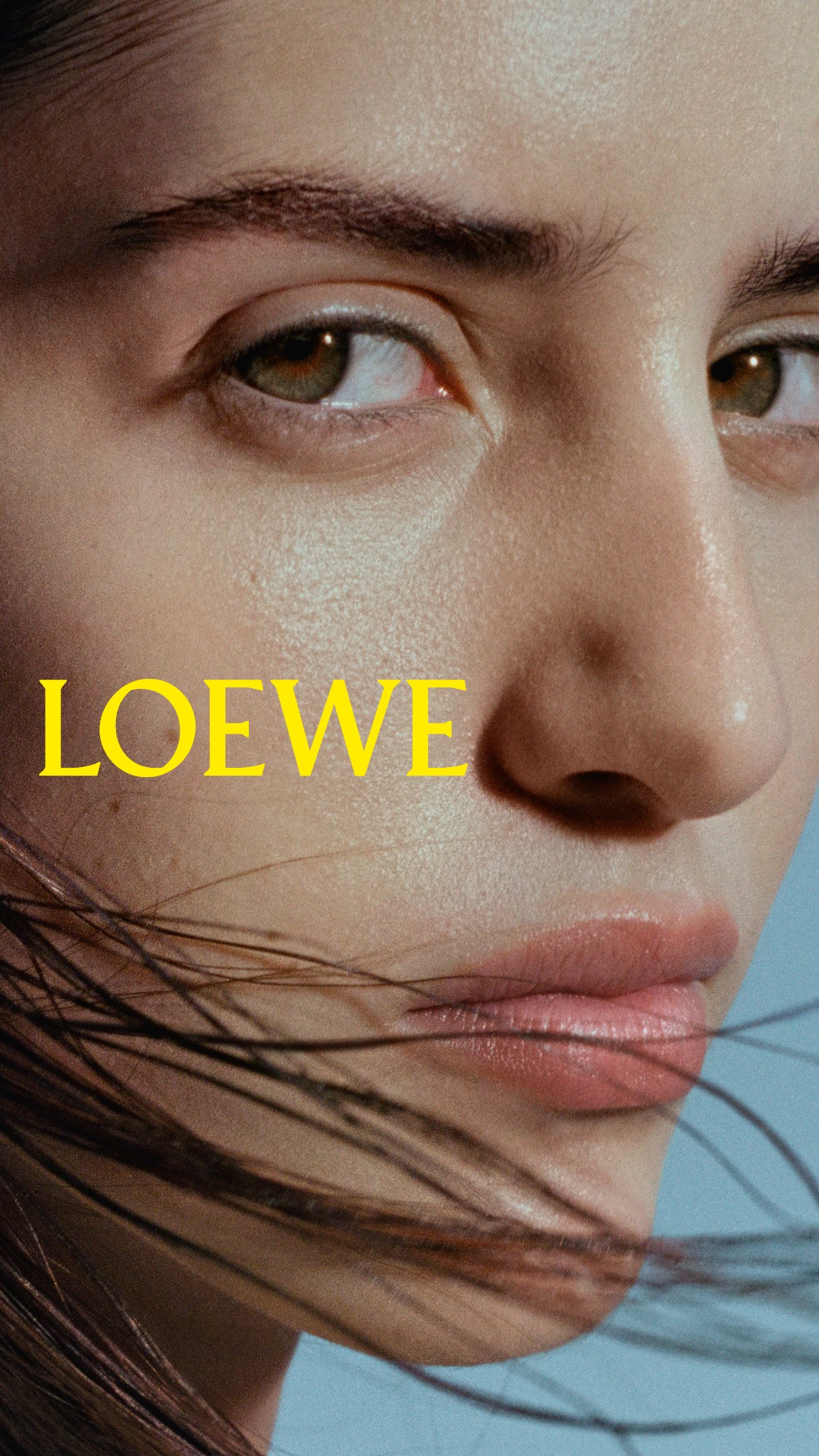 LOEWE Perfumes Facebook ad