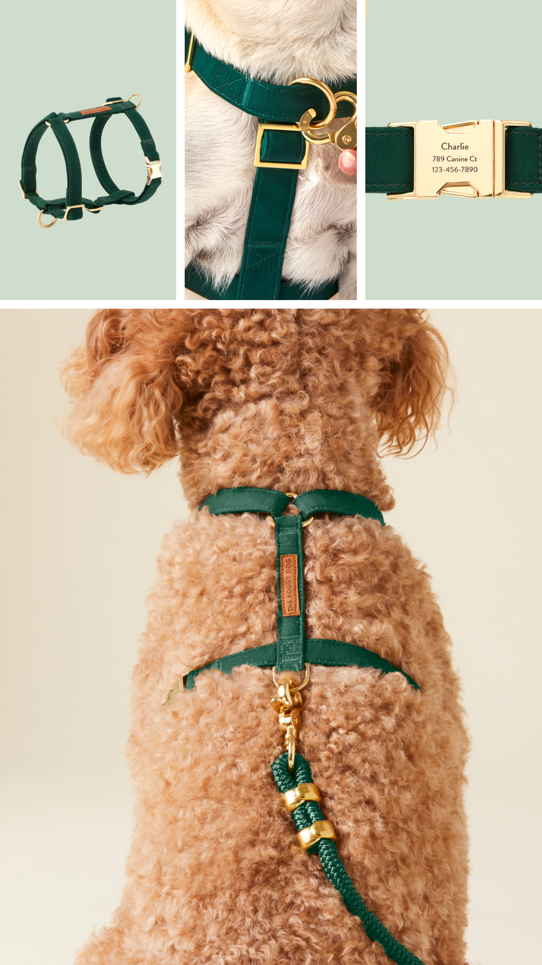 The Foggy Dog Facebook ad