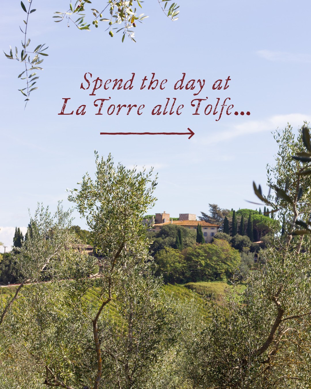 La Torre alle Tolfe Facebook ad