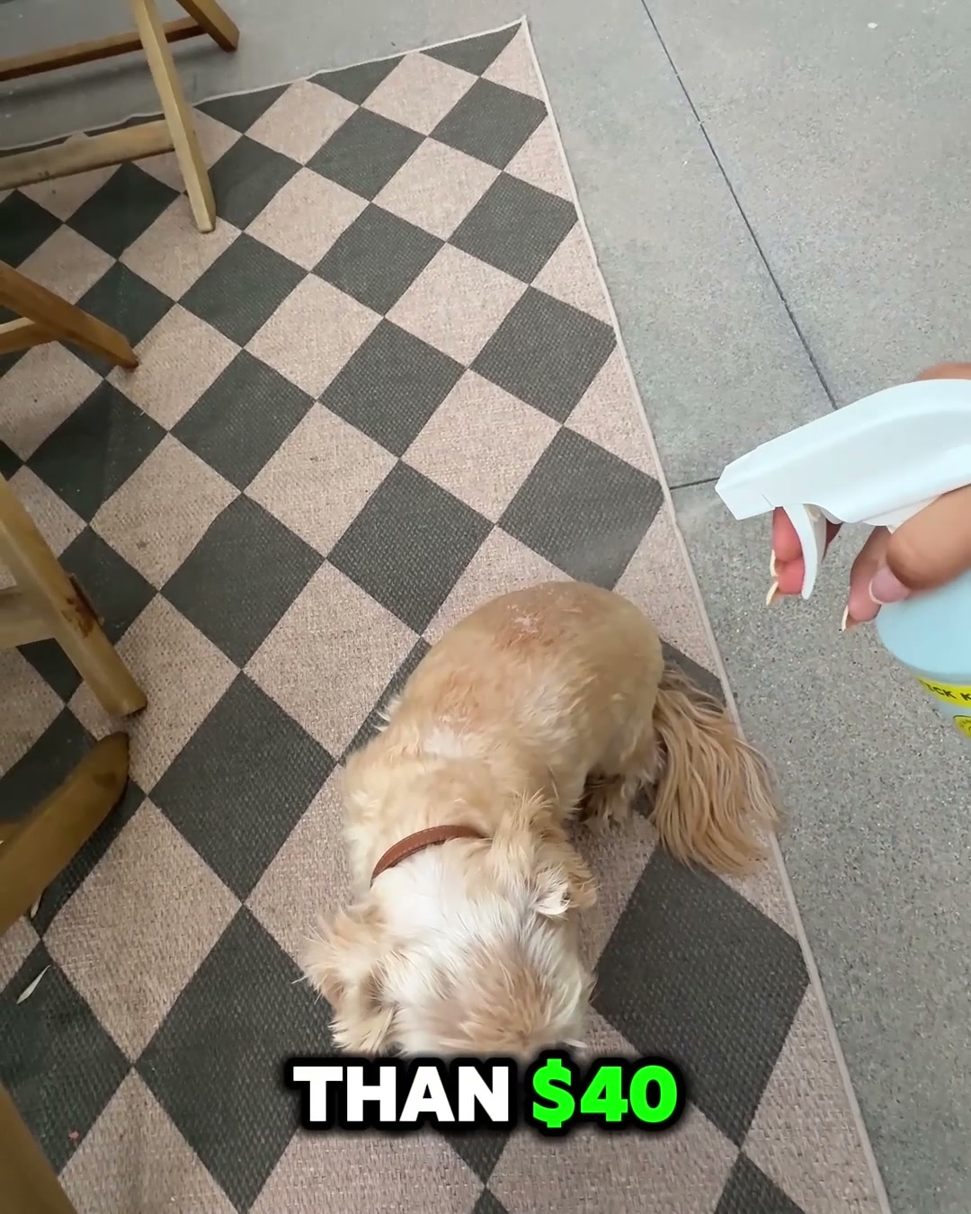 Flea & Tick Control Facebook ad: Eliminate Fleas & Ticks Fast!