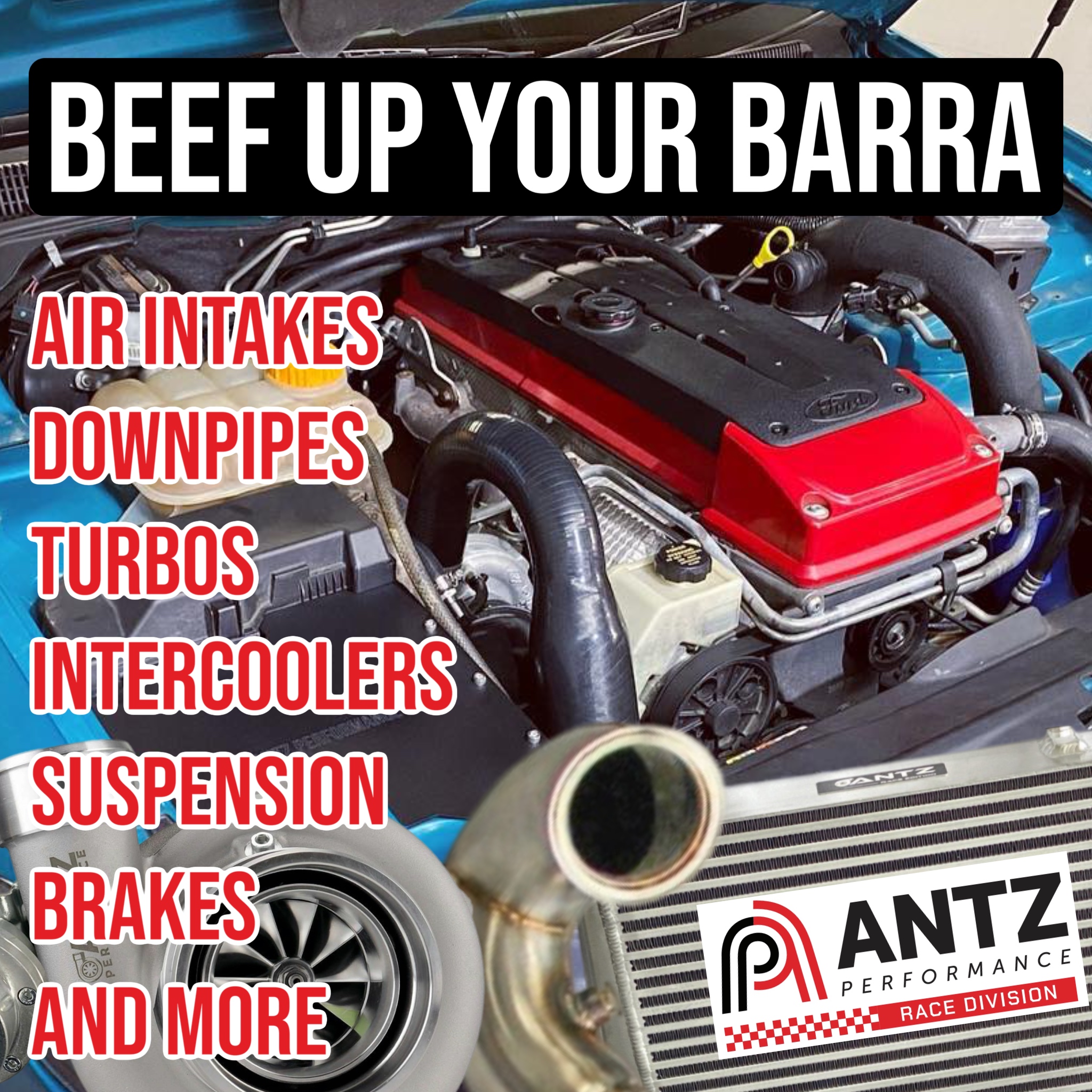 ANTZ Performance Facebook ad