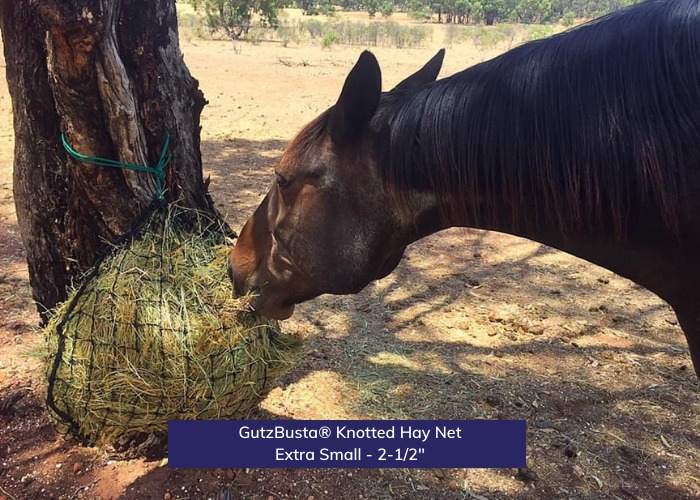 Gutzbusta Slow Feed Hay Nets USA Facebook ad: You can be saving more hay and money…